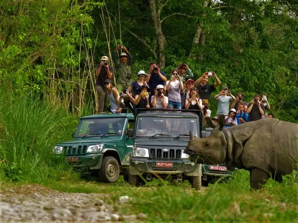 Chitwan jingle trip